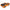 1/10 DR10 2WD Drag Race Car Brushless Kit, Orange - H y p e z RC