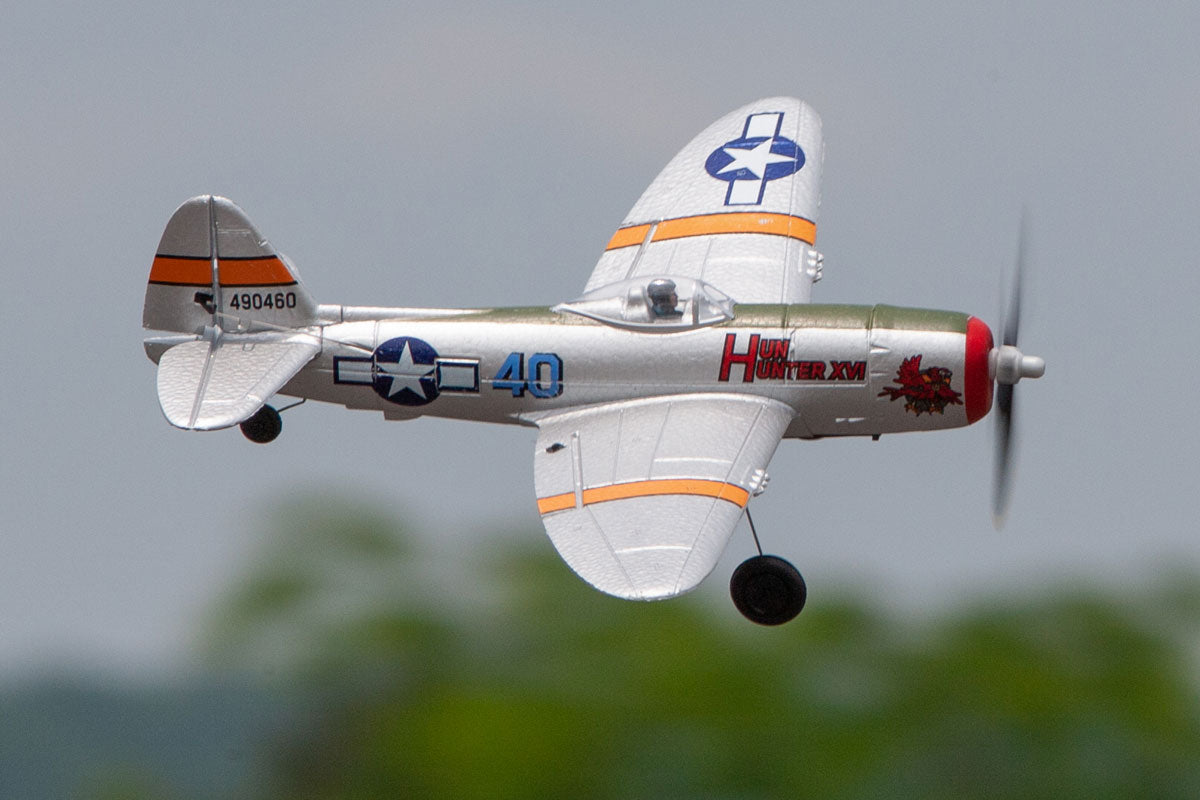 The Rage RC 500mm P-51D American Beauty