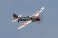 P-47 Thunderbolt Micro RTF Airplane