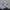 P-51D Mustang 500mm Brushless RFRT (Ready-for-Rage-Transmitter) Warbird with PASS System
