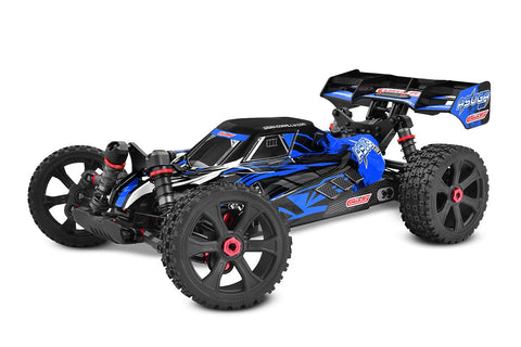 Asuga XLR 6S Roller - Large Scale - H y p e z RC